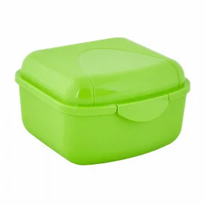 Контейнер 168015 універс. XS  (оливк.)