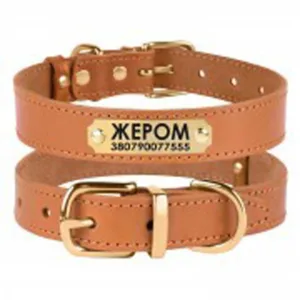 53234/Т Нашийник д/собак шкір. Classic лита латунна фурніт.(Розмір М ш 20мм, д 33-43) рудий