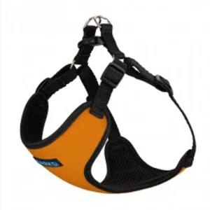 7504Б/Т  Шлея д/собак Sport з біркою, М, (Об. шиї 30см Об. груд. 40-46см) помаранч.