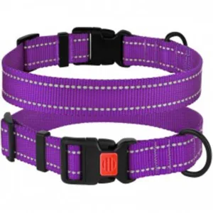 51/1307/Т Нашийник для собак "Active"світловідб. фіолет застіб.пластик Обхват шиї 30-40см Шир-20мм