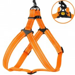 71/1304/Т Шлея для собак "Active" ТМ BronzeDog помаранчева Обхват грудної клітини 45-56 см Ширина -