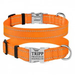 33/1304/Т Нашийник д/собак "Active" світловідб.,фастекс хром, М (обх. шиї 30-40см,ширина-20мм) помар
