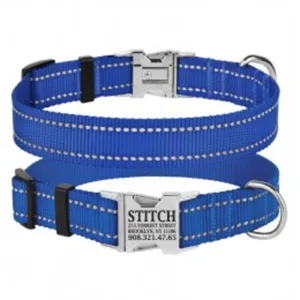 34/1302/Т Нашийник д/собак "Active" світловідб.,фастекс хром, L (об. шиї 35-53см,ширина-25мм) синій