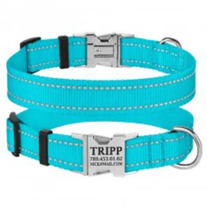 33/1222/Т Нашийник д/собак "Active" світловідб.,фастекс хром,(обх. шиї 30-40см,ширина-20мм) блакит