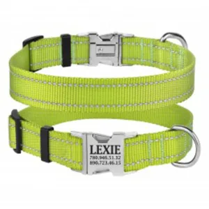 33/1305/Т Нашийник д/собак "Active" світловідб.,фастекс хром, M (об. шиї 30-40см,ширина-20мм) салат