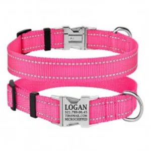 33/1306/Т Нашийник д/собак "Active" світловідб.,фастекс хром, М (об. шиї 30-40см,ширина-20мм) рожев