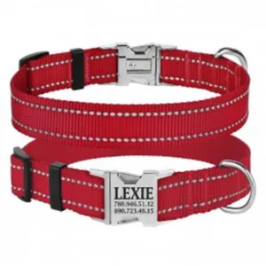 38/1303/Т Нашийник д/собак "Active" світловідб.,фастекс хром, XL (об. шиї 43-66см,ширина-25мм) черво