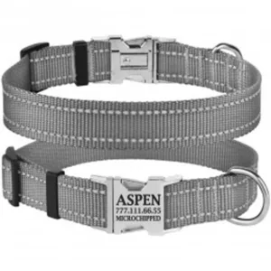 38/1311/Т Нашийник д/собак "Active" світловідб. фастекс хром XL (об. шиї 43-66см,ширина-25мм) сірий