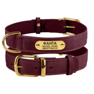 004217/Т Нашийник для собак шкіряний плоский BronzeDog Crazy(ш.10мм довж19-25см),бордовий