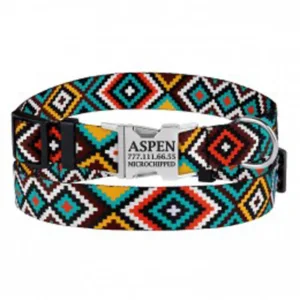 38/1373/Т Нашийник д/собак Urban гуцульс. з метал.пряж. XL (Об. шиї-43-66см Шир-25мм) ментол