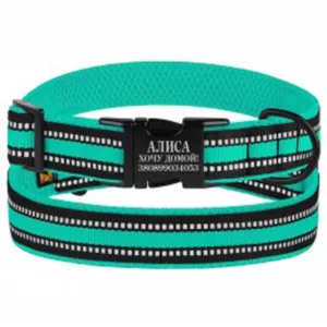 46/1608/Т Нашийник д/собак Mesh Метал (розмір S, обхват шиї 25-33 см, ширина 20мм) ментол