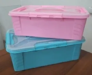 Контейнер 10л з вкладом (273*372*138мм) пр./рожевий