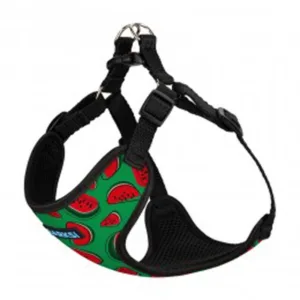 75/8629 Шлея д/собак Sport, M (Об.шиї -30см,Об.груд-40-46см) Кавун