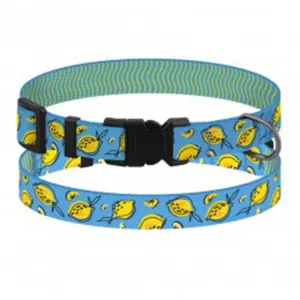 44/8632 Нашийник для Собак BronzeDog Urban FRUITS (Обхв-18-28см Шир-10мм) Лимони