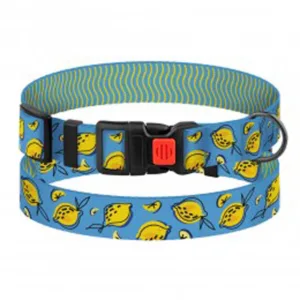 51/8632 Нашийник для Собак BronzeDog Urban FRUITS (Обхв-30-40см Шир-20мм) Лимони