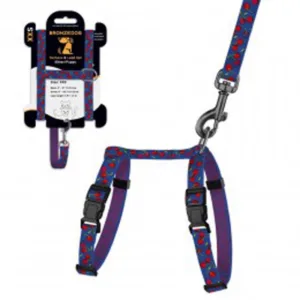 58/8628 Шлея з поводом для котів та дрібних собак Urban BronzeDog FRUITS розмір ХS Вишні