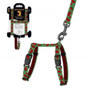 58/8629 Шлея з поводом для котів та дрібних собак Urban BronzeDog FRUITS розмір ХS Кавун