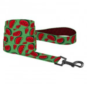 60/8629 Повідець для Собак Bronzedog Urban FRUITS (довж-152 см шир-16 мм) Кавун