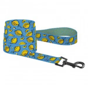 61/8632 Повідець для Собак Bronzedog Urban FRUITS (довж-152 см шир-20 мм) Лимони