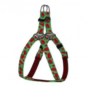 71/8629 Шлея для собак Urban BronzeDog FRUITS (обхв 45-56 см шир- 20 мм) Кавун