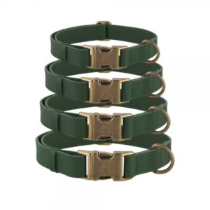 590105/Т Нашийник для собак шкіряний плоский BronzeDog Antiq (ш 20мм д 25-33 см) зелений