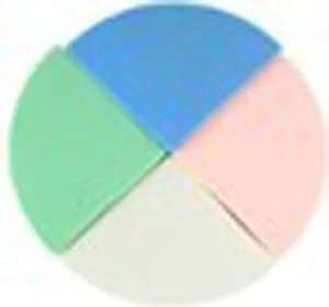 Спонж SP 201 4в1 трикутники 2 кольор