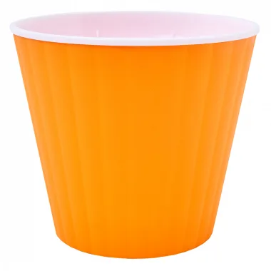 ibis-svitlo-oranjeviy_2021-09-14_15-45-00