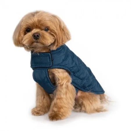 kyrtochka_pes-1000x1000-450x450