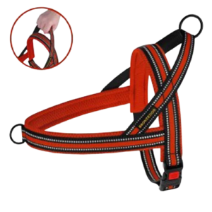 Шлея для собак " Mesh"