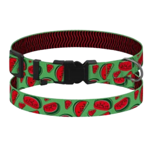 Серія "Fruits" Кавун