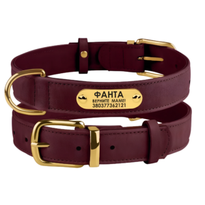 Bronze Dog (зоотовари)