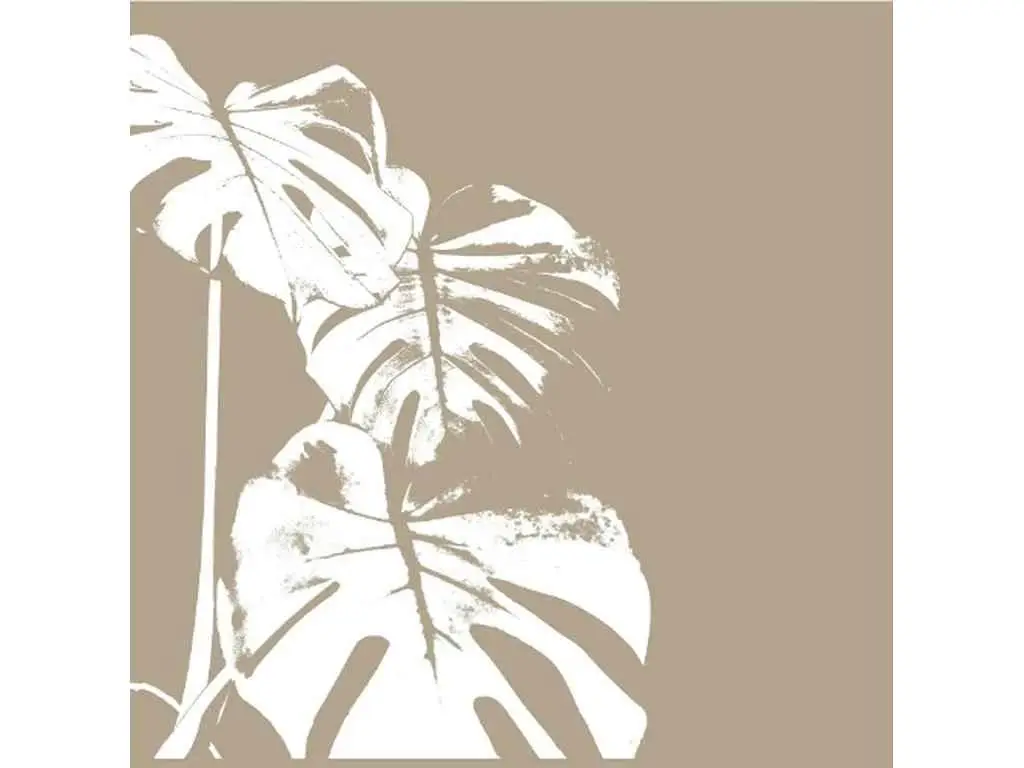 4849112011_w640_h640_shtora-dlya-vannoyi