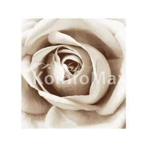 Шторка (фіранка) д/душу з поліестеру 180*180 см, фотопринт 12 кілець  PHP-NUDE_ROSE 1000007522