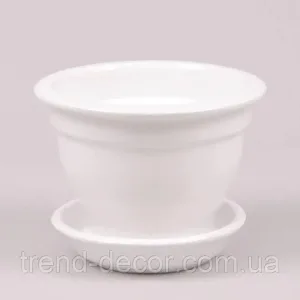 Горщик 10924536 Фіалочниця біла 0,5л